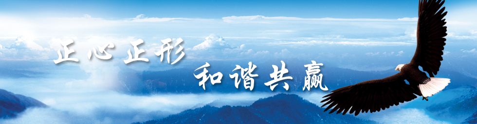 公司簡介